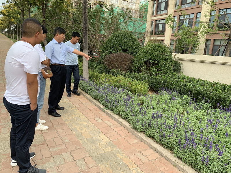 20.園林公司赴威？疾煲計紡仙較钅.jpg